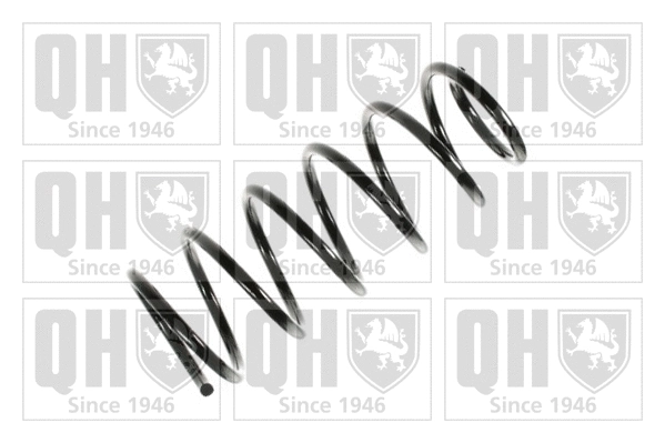 Suspension Spring (QCS7592)