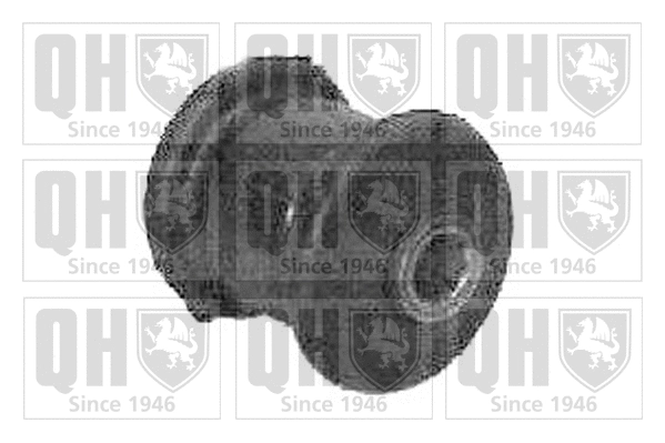 Mounting, control/trailing arm (EMS2109)