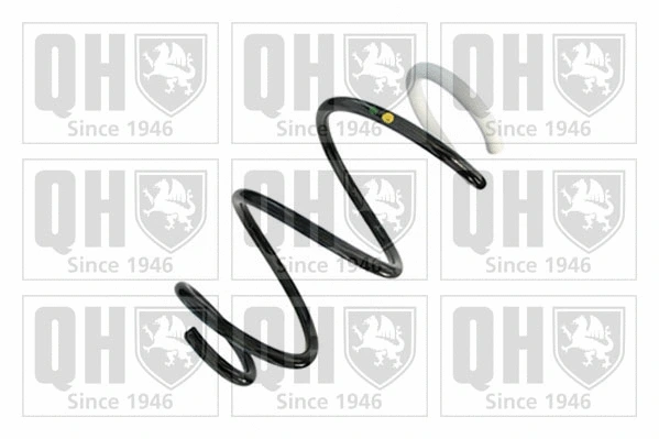 Suspension Spring (QCS9162)
