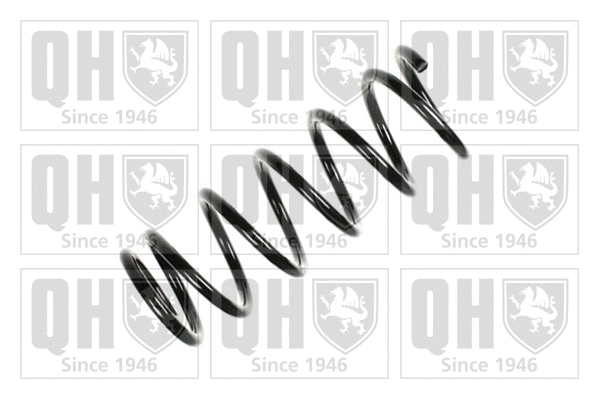Suspension Spring (QCS6314)