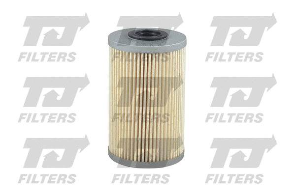 Fuel Filter (QFF0063)