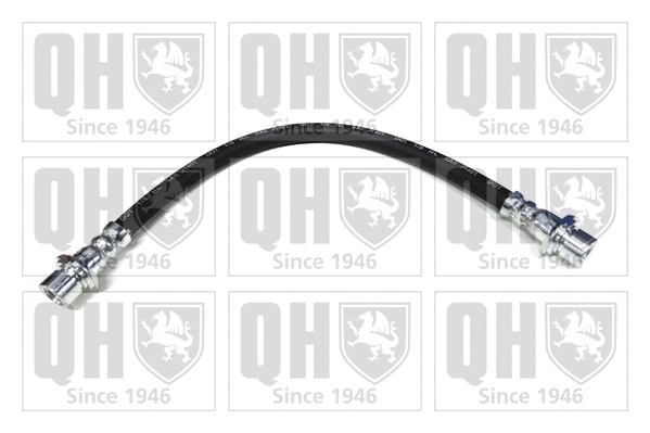 Brake Hose (BFH5407)