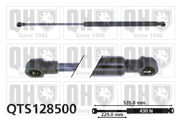 Gas Spring, boot/cargo area (QTS128500)