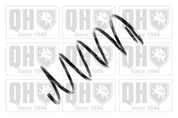 Suspension Spring (QCS5372)