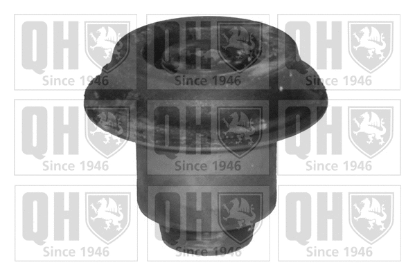 Mounting, control/trailing arm (EMS4046)