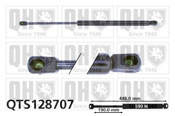 Gas Spring, boot/cargo area (QTS128707)