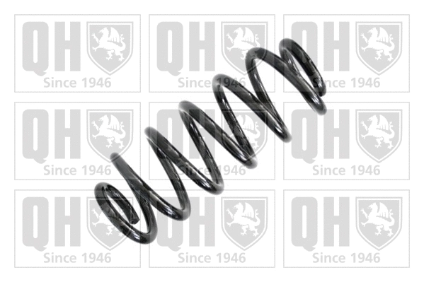 Suspension Spring (QCS6078)