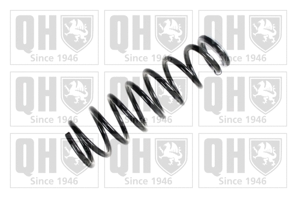 Suspension Spring (QCS6405)