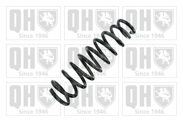 Suspension Spring (QCS6893)