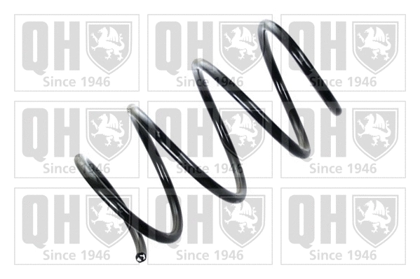 Suspension Spring (QCS5219)