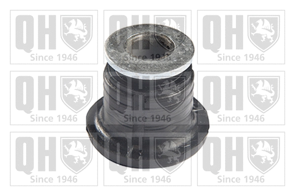 Bushing, axle beam (EMS8493)