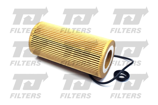 Oil Filter (QFL0185)
