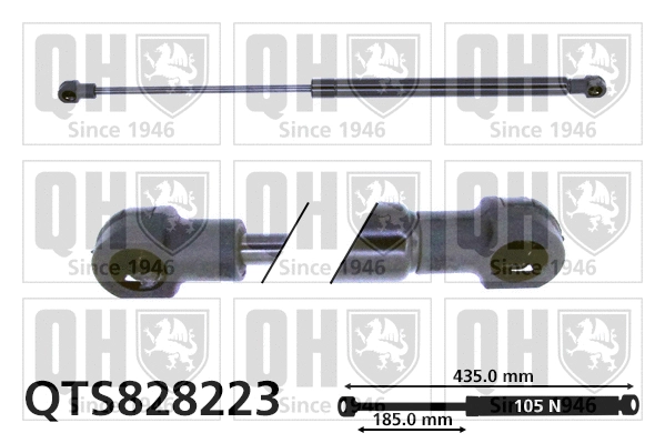 Gas Spring, rear window (QTS828223)