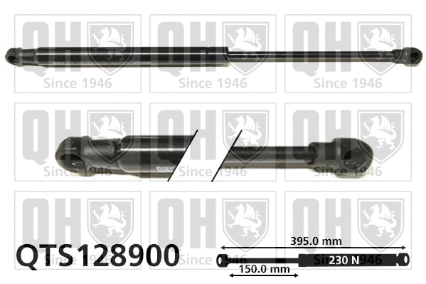 Gas Spring, bonnet (QTS128900)