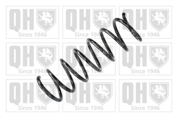 Suspension Spring (QCS5019)