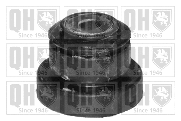Mounting, control/trailing arm (EMS8129)
