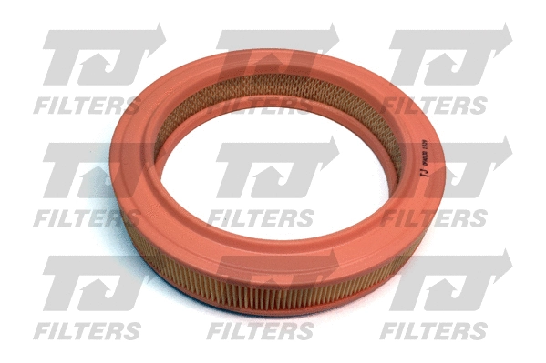 Air Filter (QFA0130)