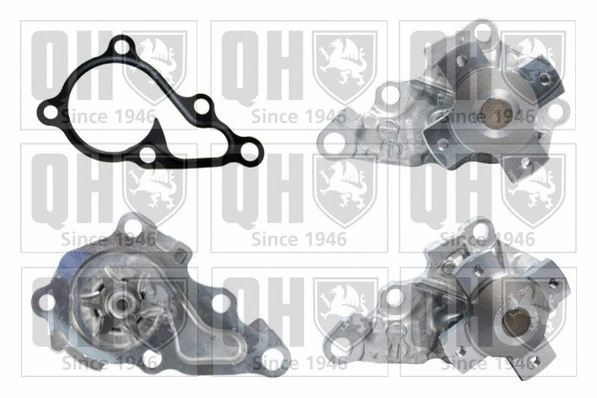 Water Pump, engine cooling (QCP3698)