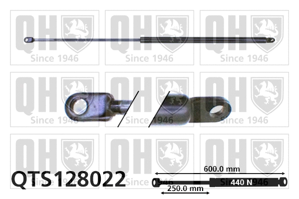 Gas Spring, boot/cargo area (QTS128022)