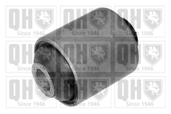 Mounting, control/trailing arm (EMS1950)