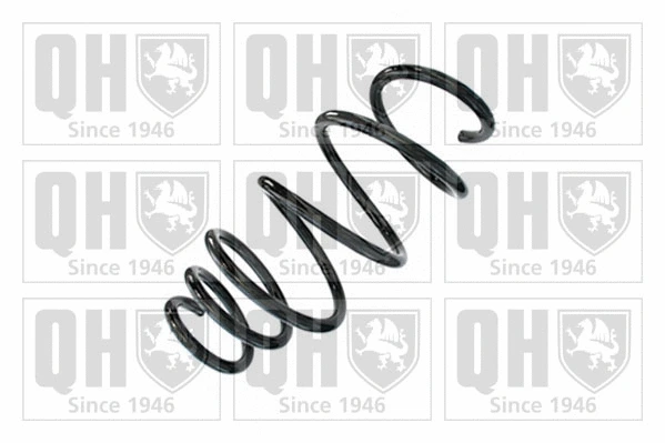 Suspension Spring (QCS9053)