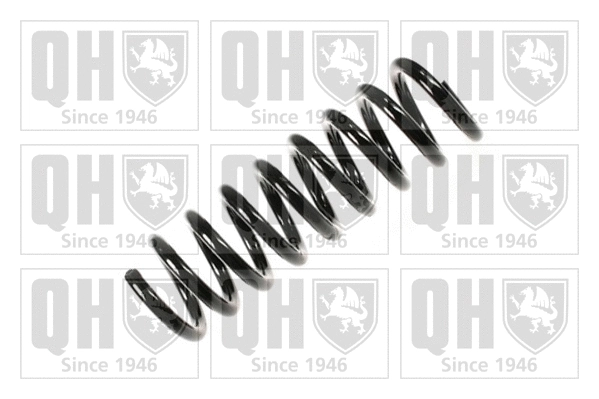 Suspension Spring (QCS5437)
