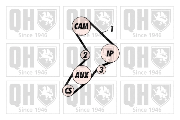 Timing Belt Kit (QBK130)