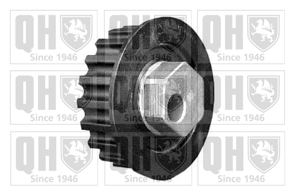 Tensioner Pulley, timing belt (QTT242)