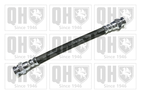 Brake Hose (BFH5393)