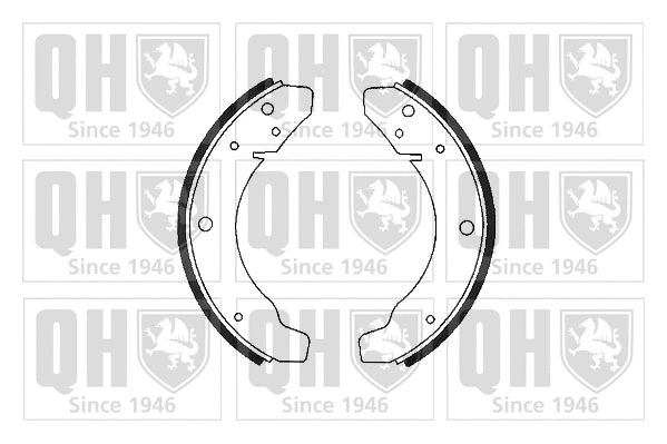 Brake Shoe Set (BS543)
