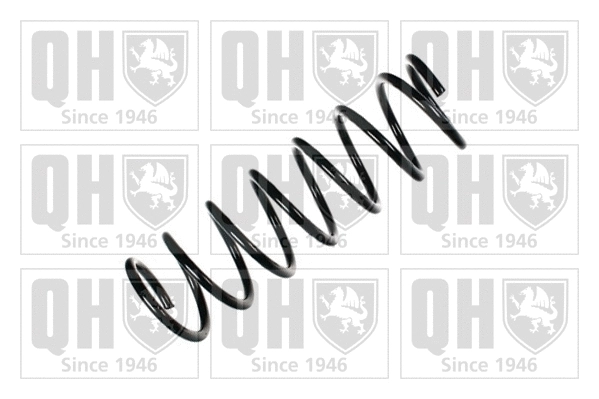 Suspension Spring (QCS5747)