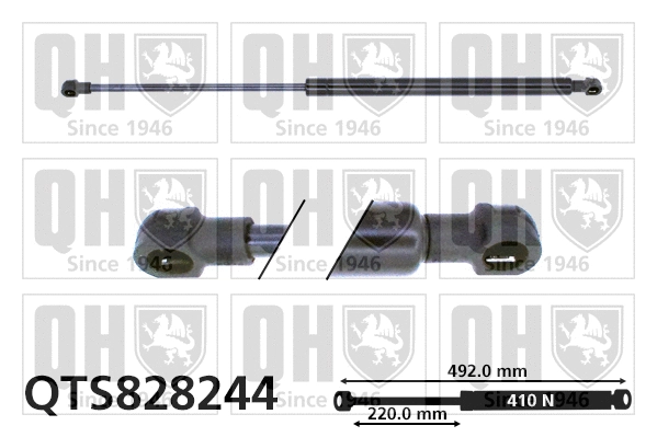 Gas Spring, boot/cargo area (QTS828244)