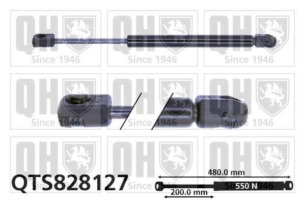 Gas Spring, boot/cargo area (QTS828127)