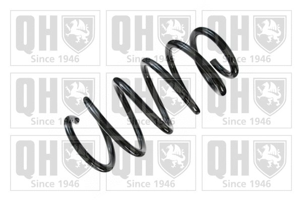 Suspension Spring (QCS6756)
