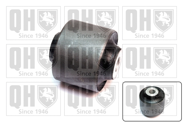 Mounting, control/trailing arm (EMS8594)