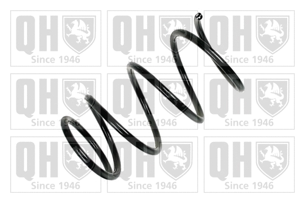 Suspension Spring (QCS6672)