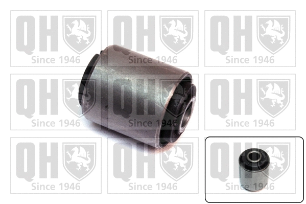 Mounting, control/trailing arm (EMS8067)