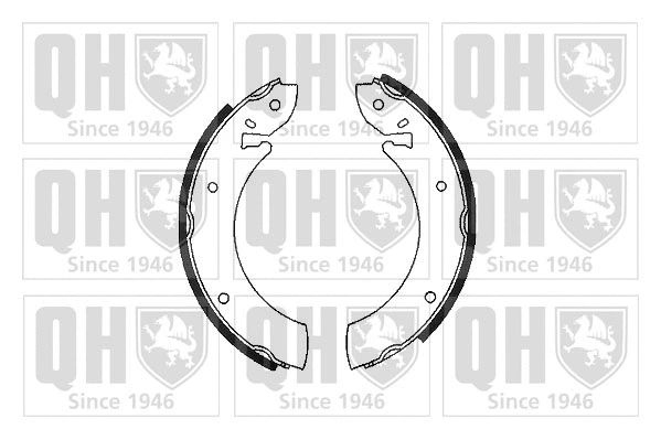 Brake Shoe Set (BS507)