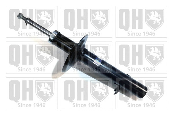 Shock Absorber (QAG178993)