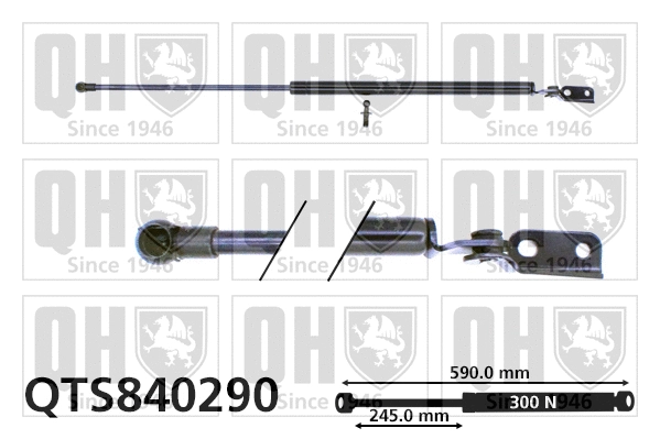 Gas Spring, boot/cargo area (QTS840290)