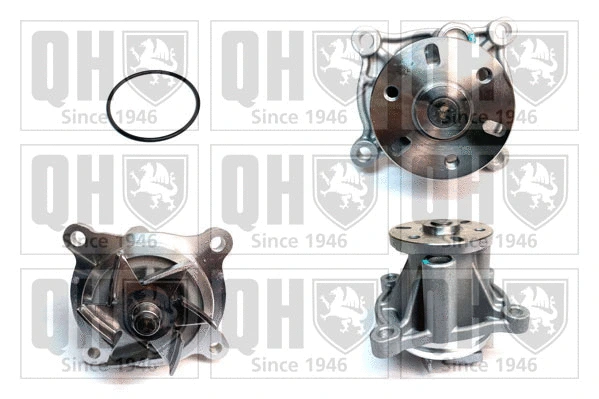 Water Pump, engine cooling (QCP3961)
