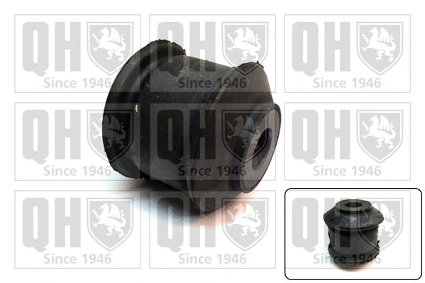 Mounting, control/trailing arm (EMS8666)
