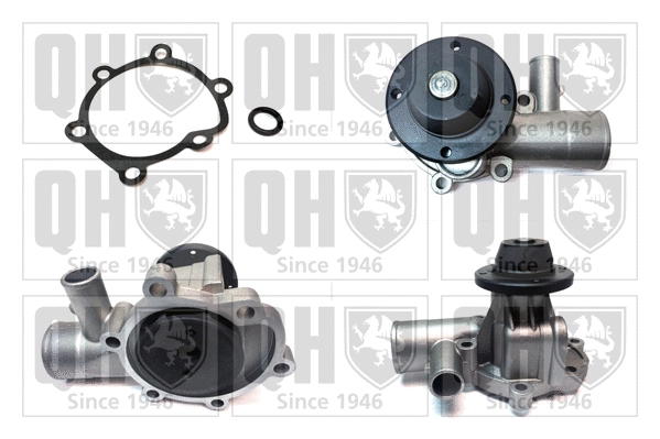 Water Pump, engine cooling (QCP2663)