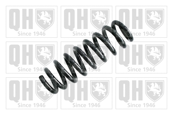 Suspension Spring (QCS6104)