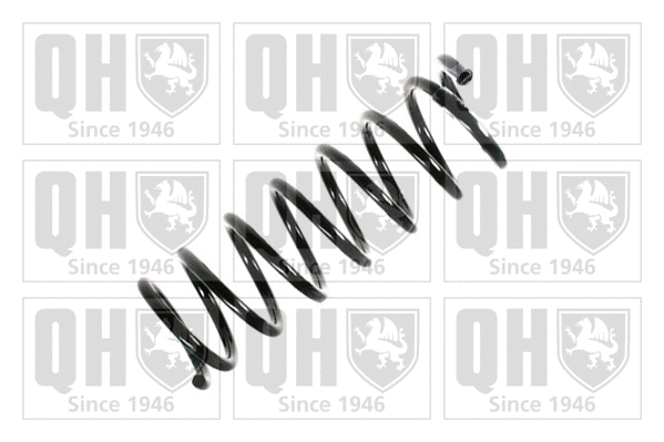 Suspension Spring (QCS6483)
