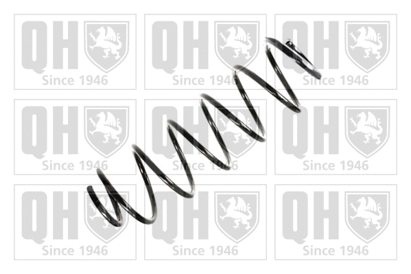 Suspension Spring (QCS6110)