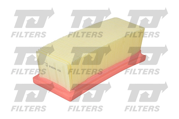 Air Filter (QFA0599)