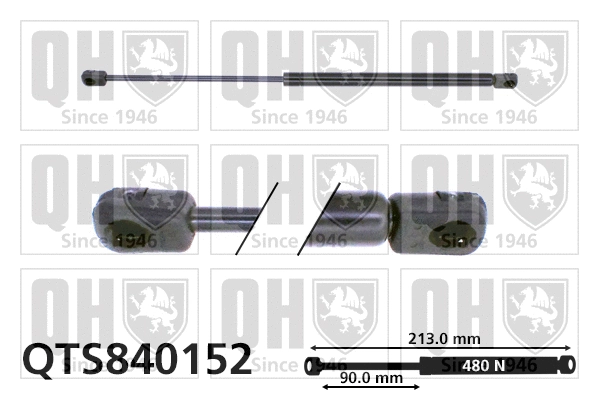 Gas Spring, boot/cargo area (QTS840152)