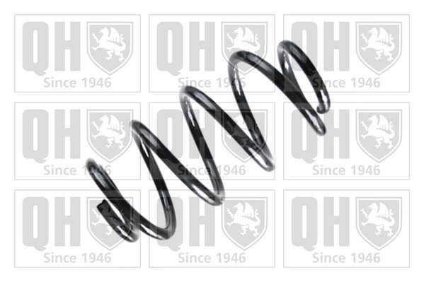 Suspension Spring (QCS8658)