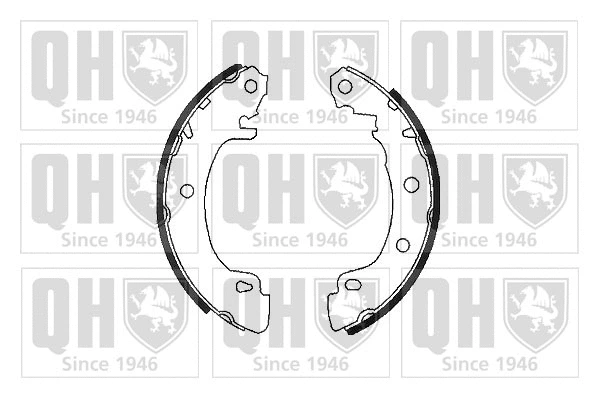 Brake Shoe Set (BS960)